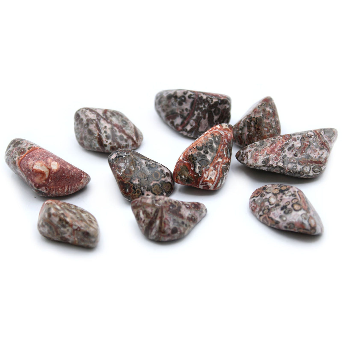 Piedras Pulidas L - Leopard Skin