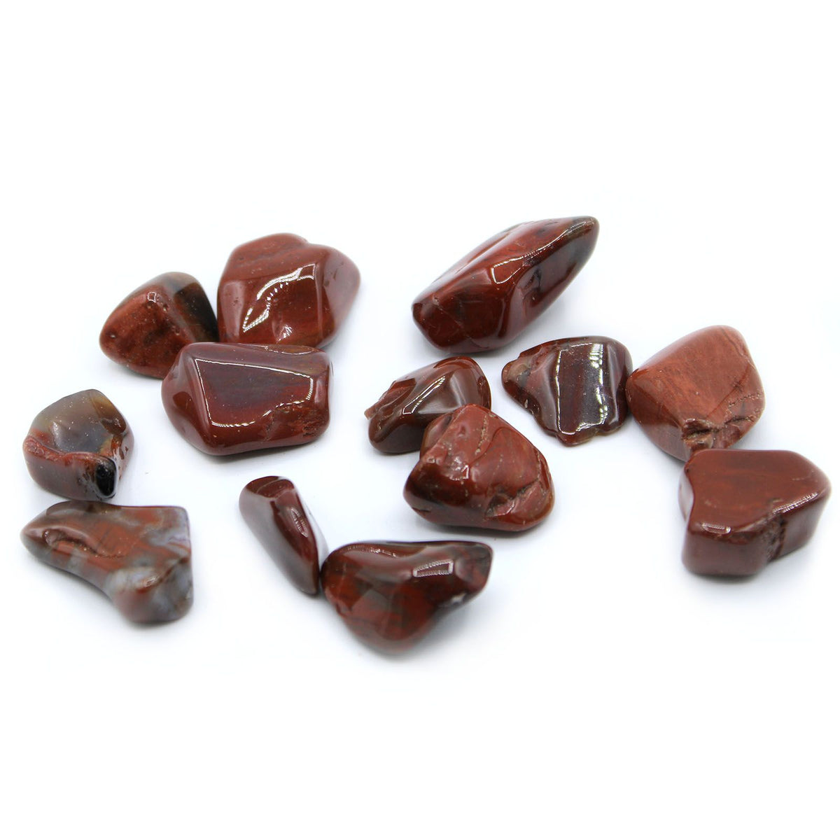 Piedras Pulidas L - Madera Petrificada