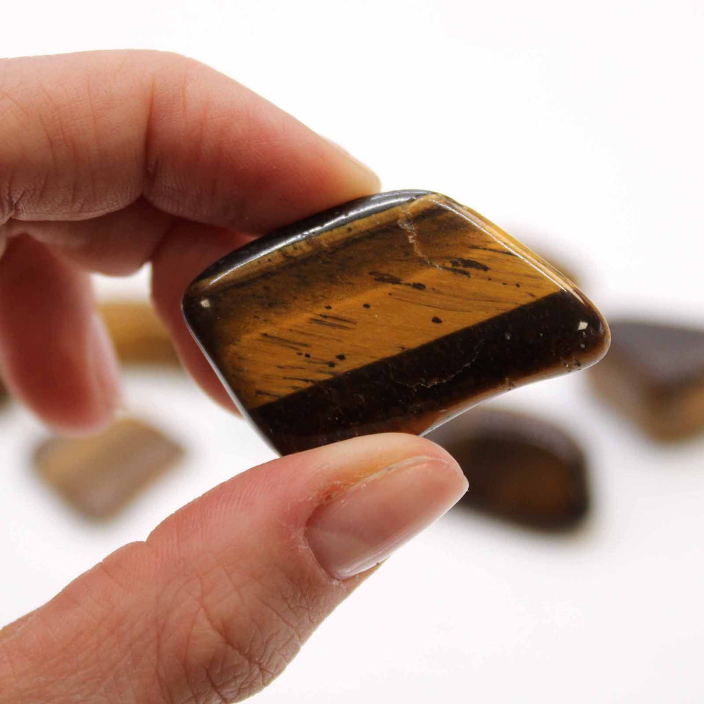 Piedras Pulidas L- Ojo de Tigre (dorada)