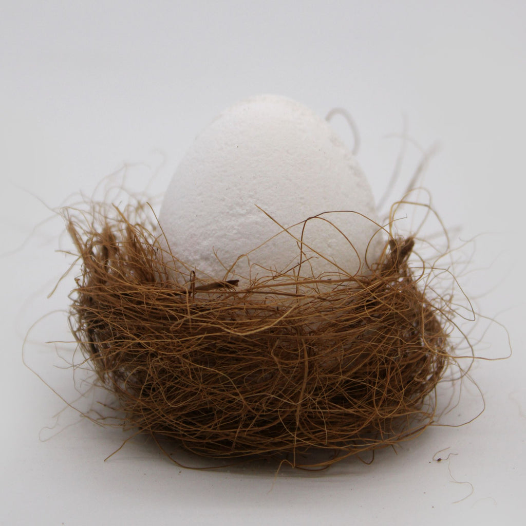 Bomba Huevo Coco en Caja de Huevos