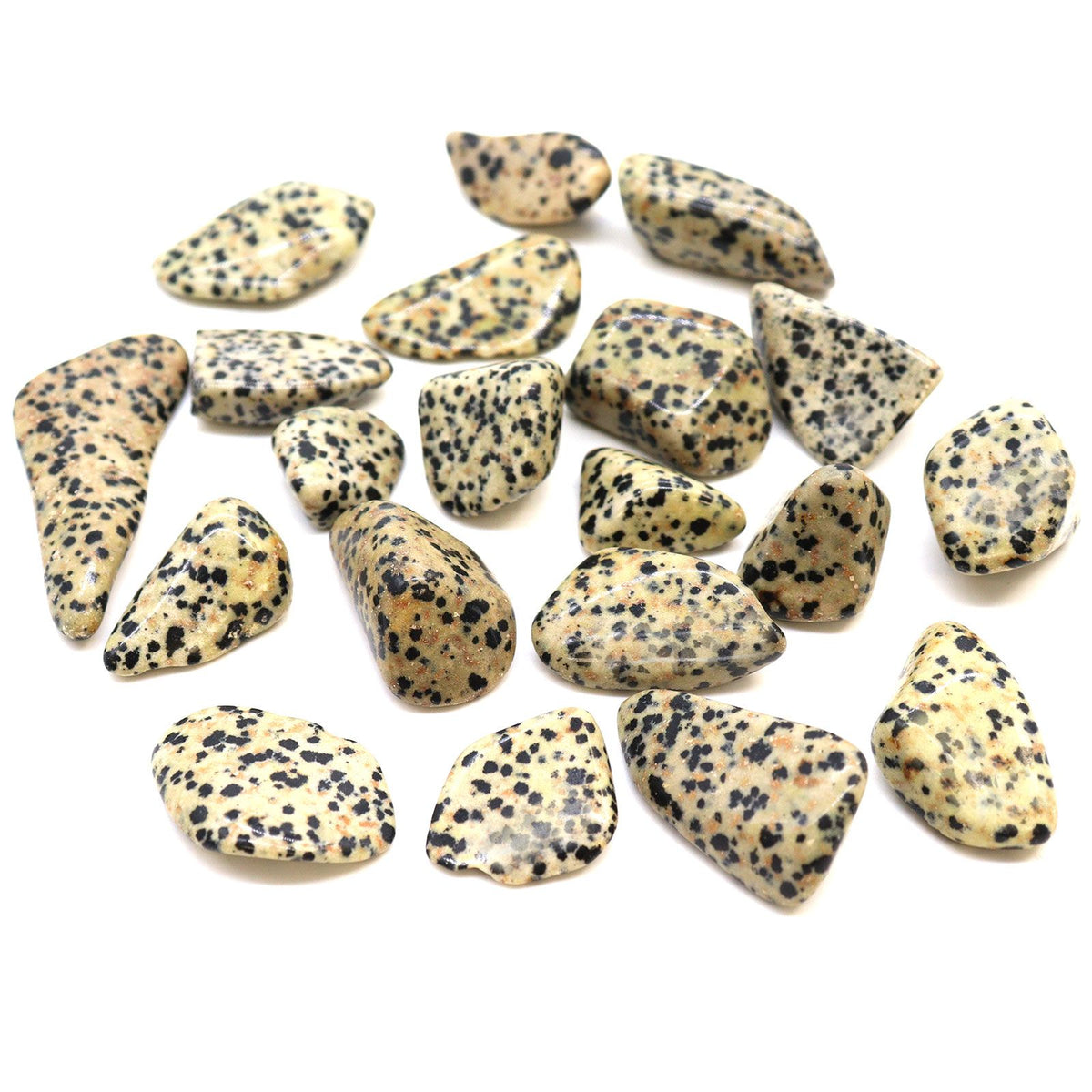 Piedras Pulidas L - Dalmata