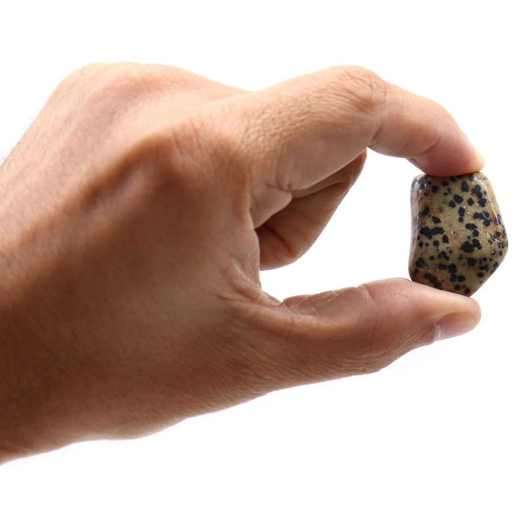 Piedras Pulidas L - Dalmata